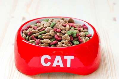 A bowl of dry cat food is resting on the floor.