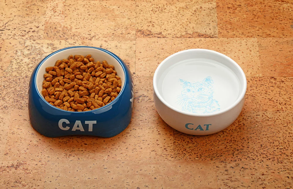 Water and dry cat food in bowls resting on a brown floor.