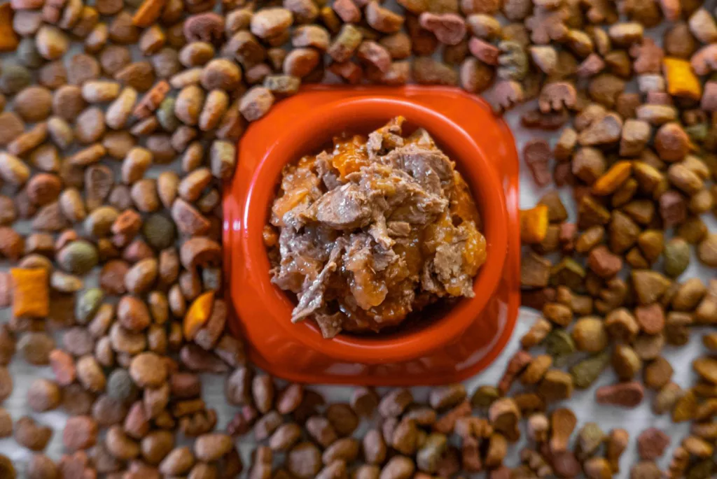 Pieces of dry pet food surround wet pet food in a bowl.