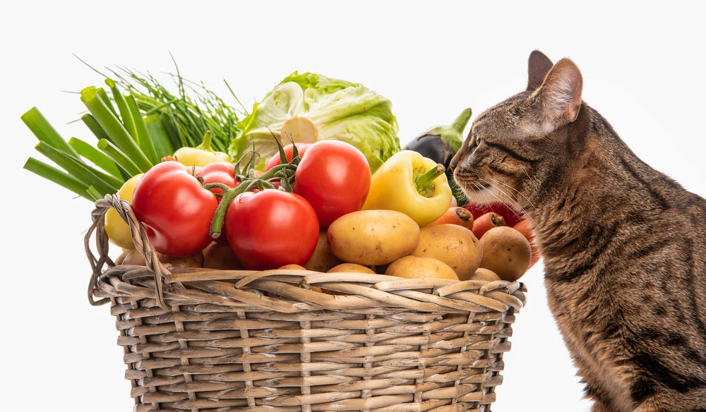 A cat and a basket of vegetables