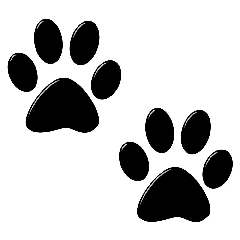 Cat footprints