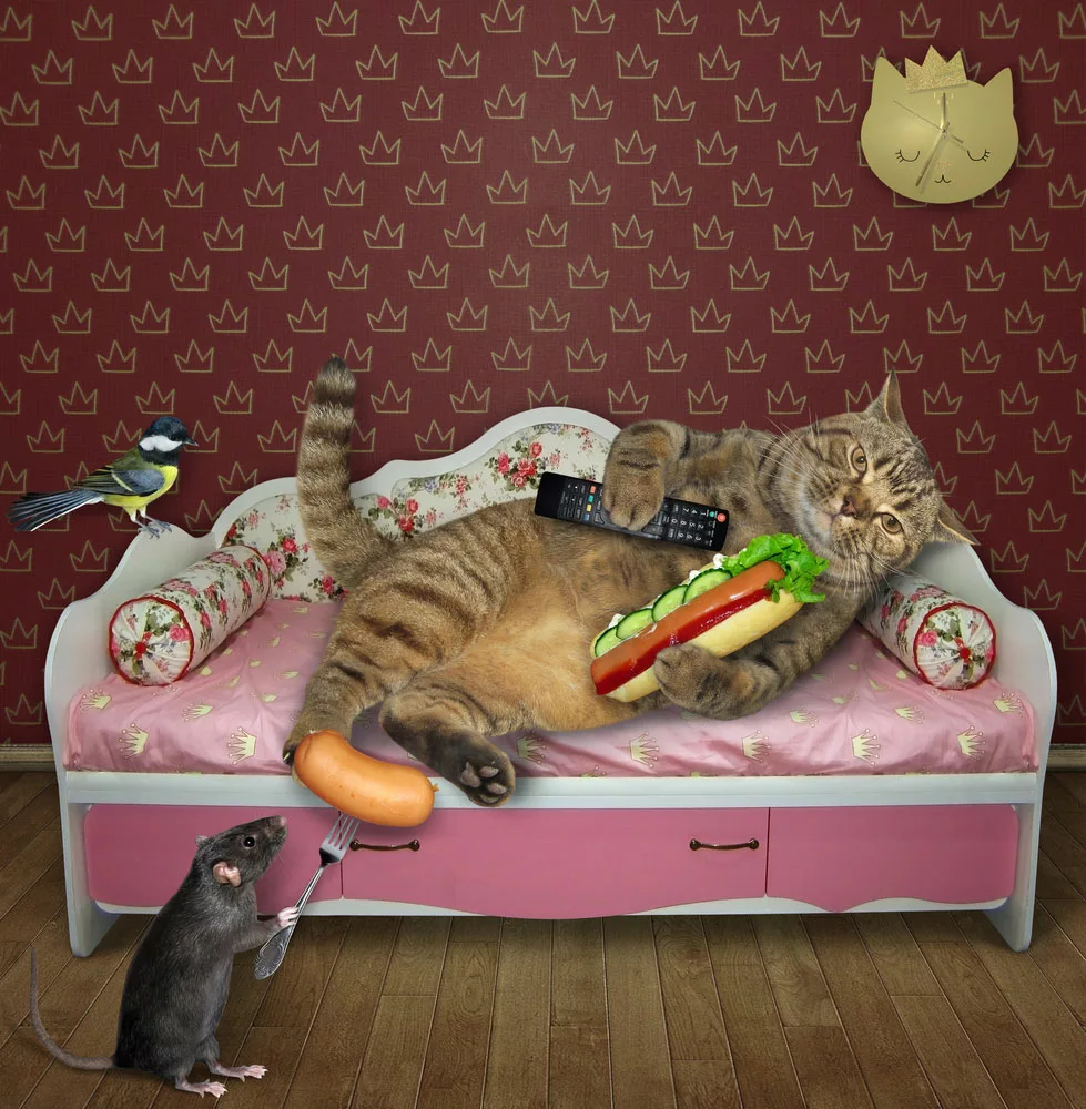 A lazy cat is with a hot dog on a pink couch.
