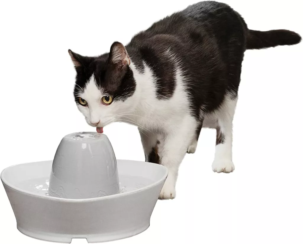 PetSafe Creekside Cat Water Fountain