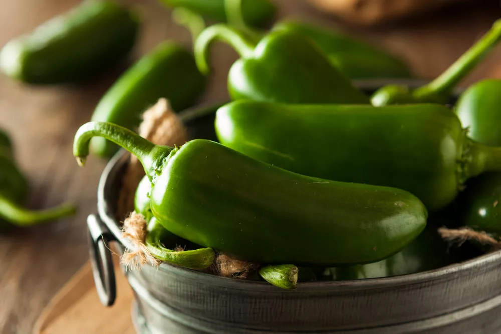Organic green jalapeno peppers