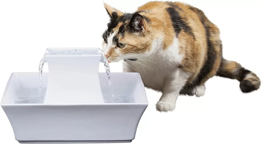 PetSafe Cat & Dog Water Fountain