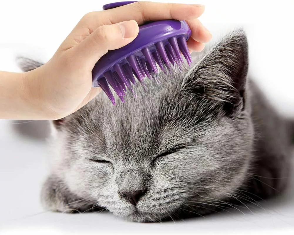 Best Brush For Cats That Hate To Be Brushed: CeleMoon Rubber Brush for Cats