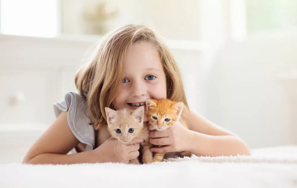 How Good Are Cats’ Memories:  Child holding two kittens