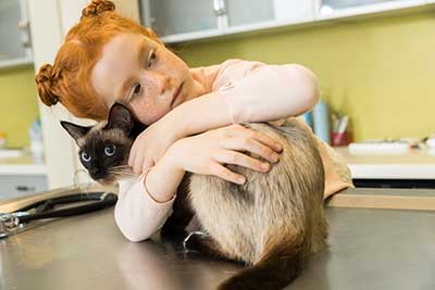 girl with a cat at veterinarian appointment