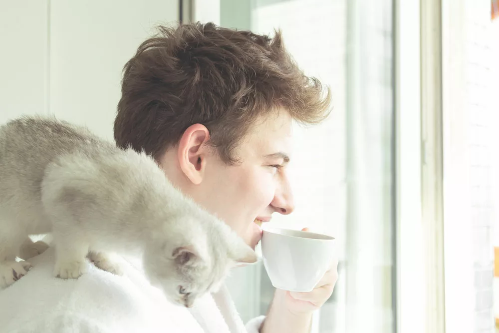 cat examining empty coffee cup