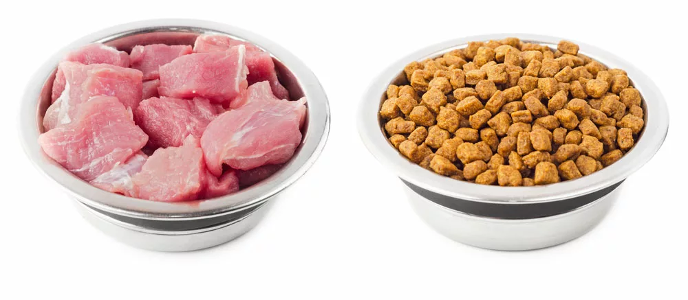 Meat and dry food for cats